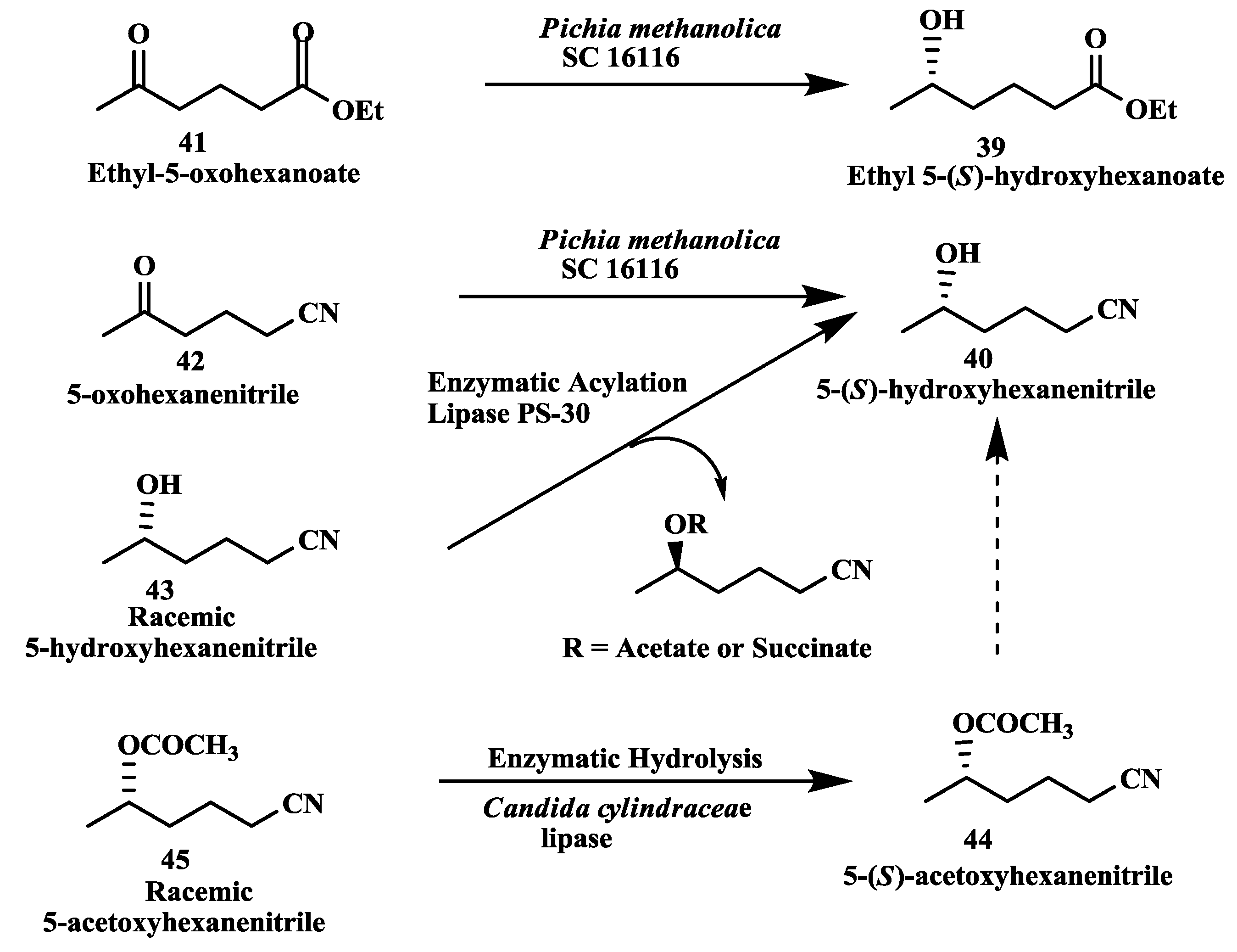 Biomolecules 03 00741 g011