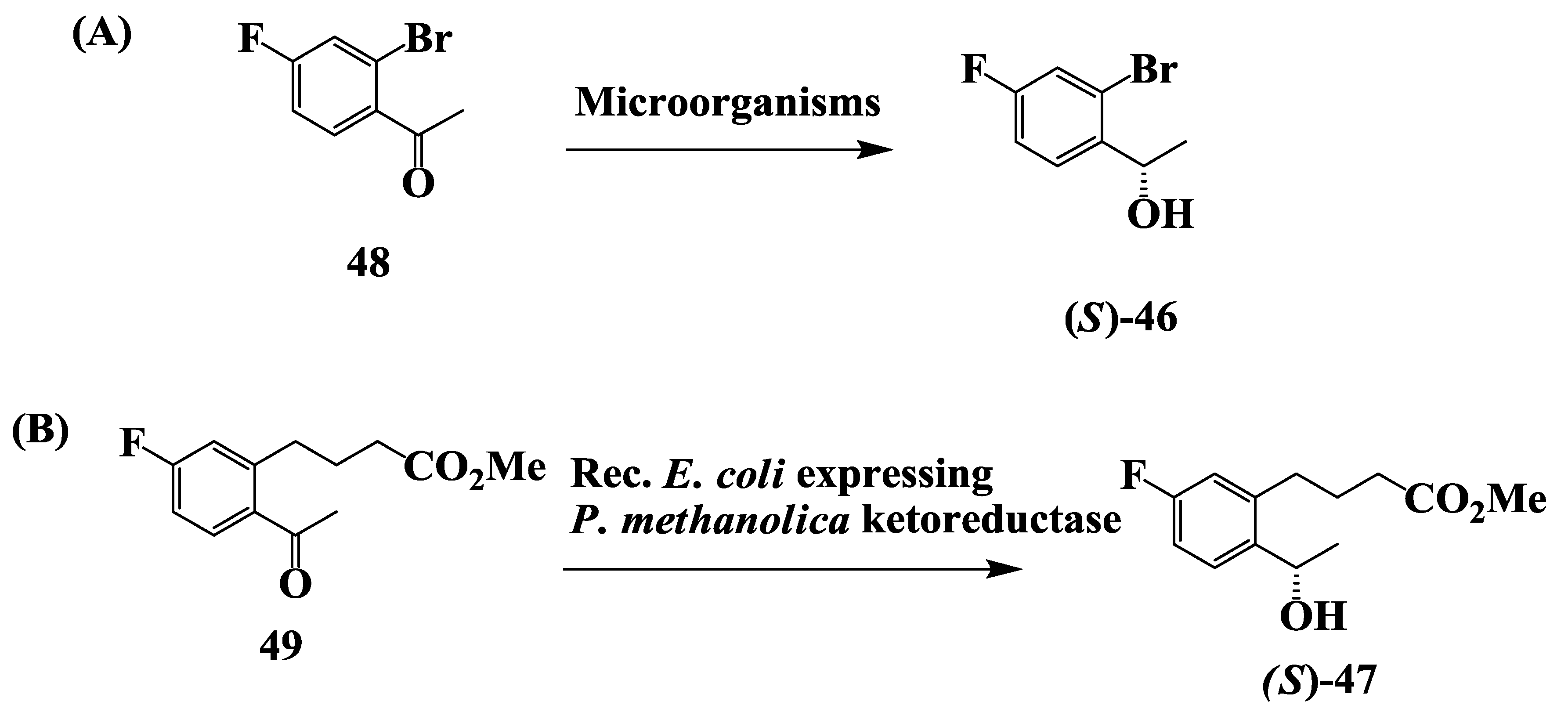 Biomolecules 03 00741 g012