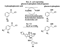 Biomolecules 03 00741 g013 200