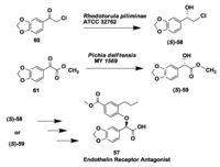 Biomolecules 03 00741 g015 200