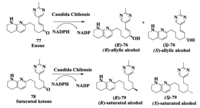 Biomolecules 03 00741 g019 200