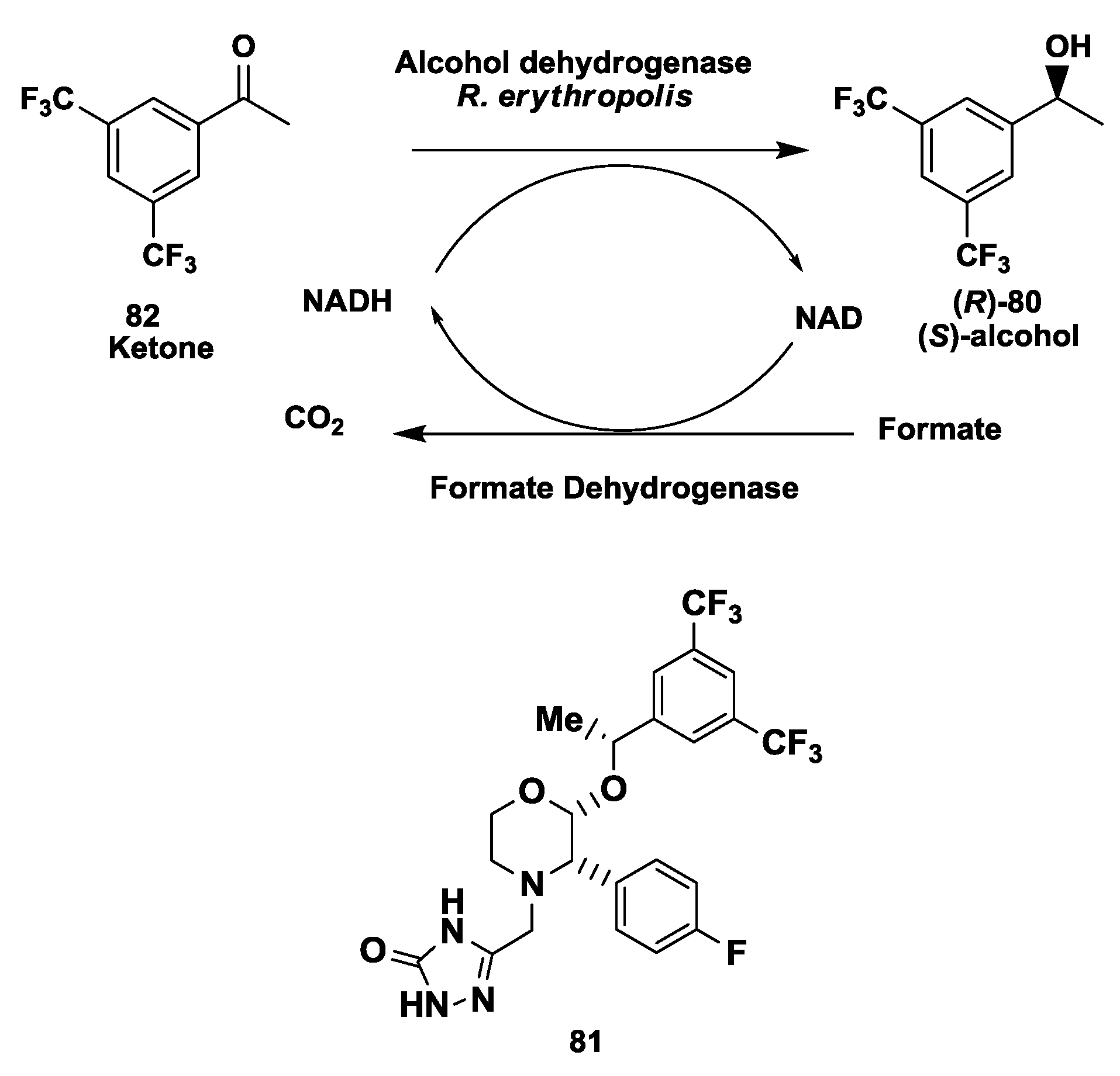 Biomolecules 03 00741 g020