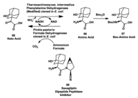Biomolecules 03 00741 g026 200