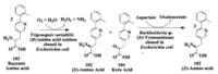 Biomolecules 03 00741 g028 200