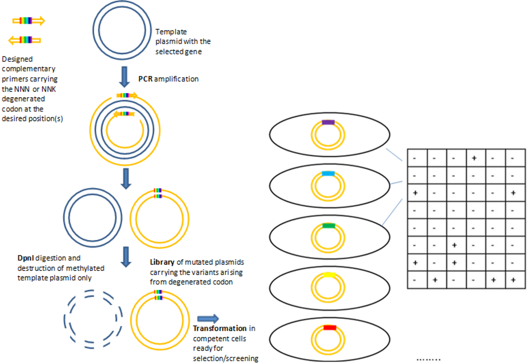 Biomolecules 03 00778 g001 1024