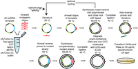 Biomolecules 03 00778 g003 200