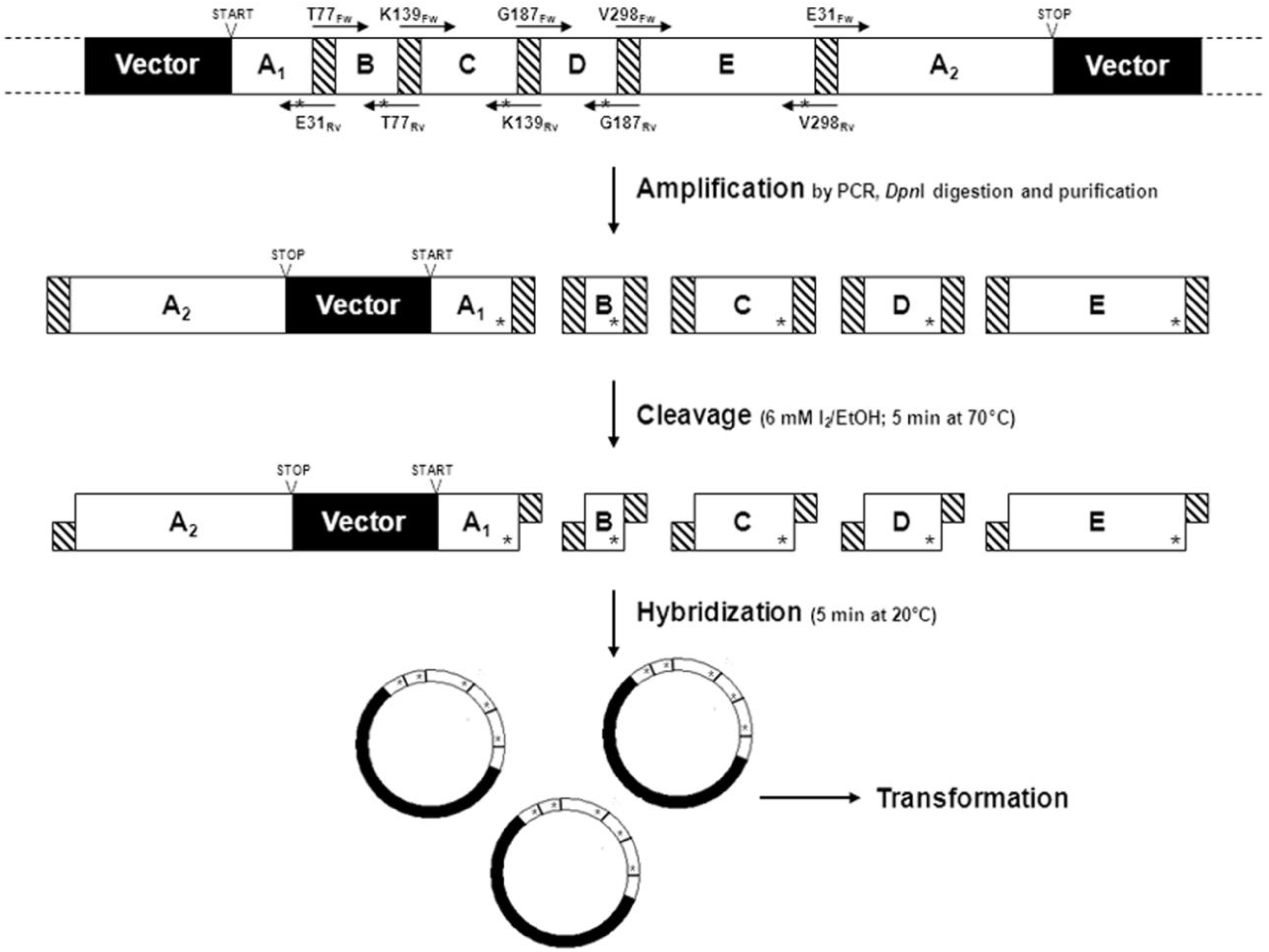 Biomolecules 03 00778 g004