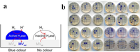 Biomolecules 03 00778 g006 200