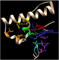 Biomolecules 03 00778 g007 200