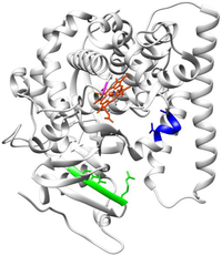 Biomolecules 03 00778 g008 200