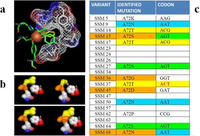 Biomolecules 03 00778 g010 200