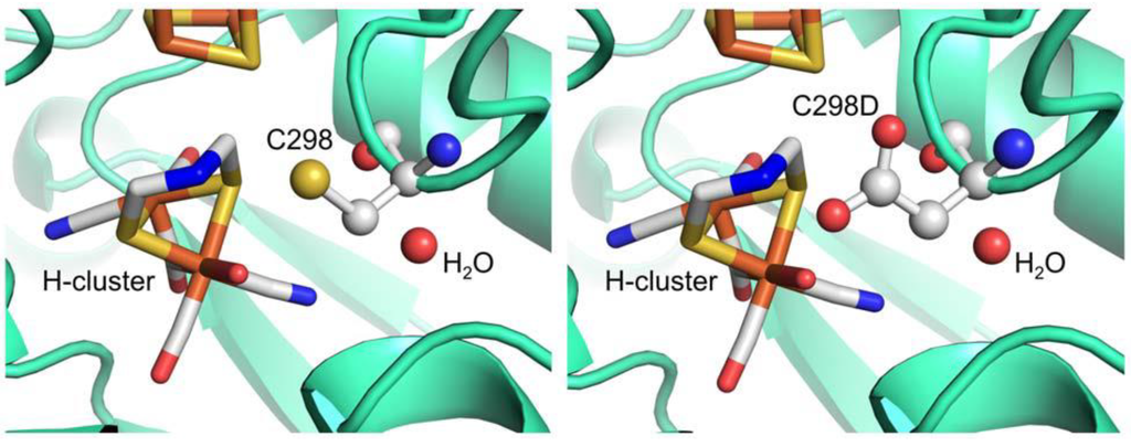 Biomolecules 03 00778 g011 1024