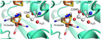 Biomolecules 03 00778 g011 200