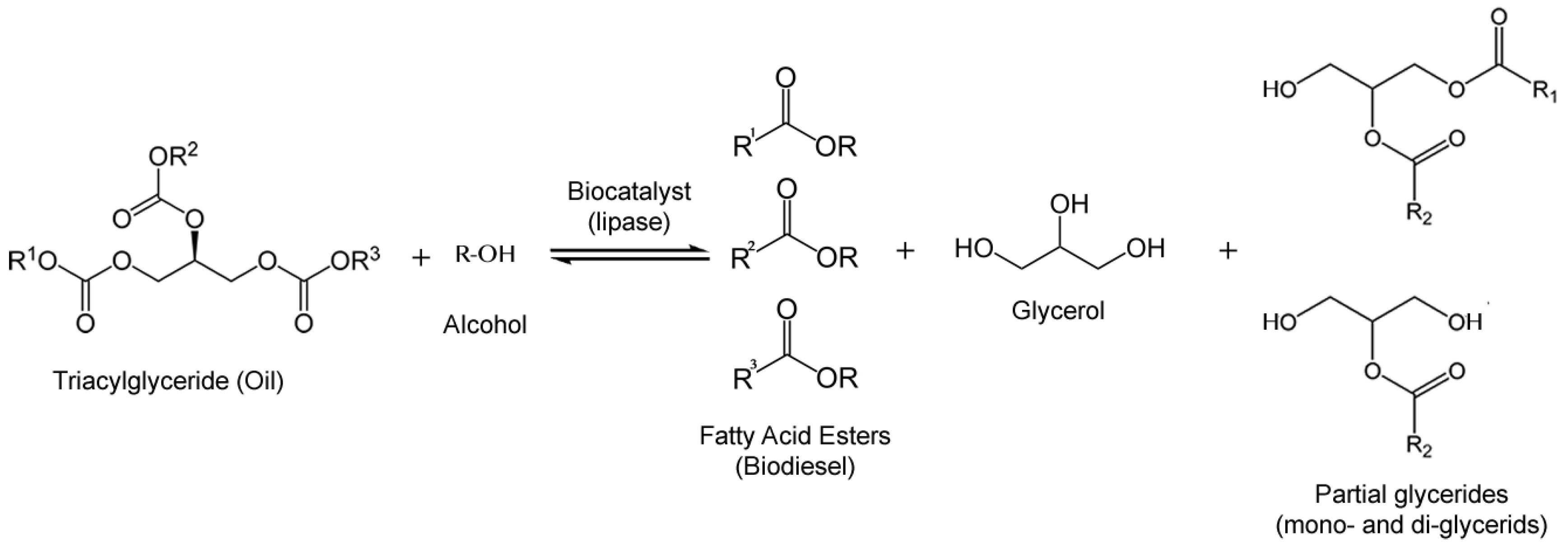 Reactions of butanols with hydrbromic acid