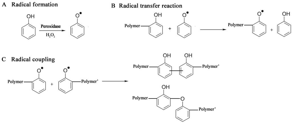 Biomolecules 03 00812 g006 1024