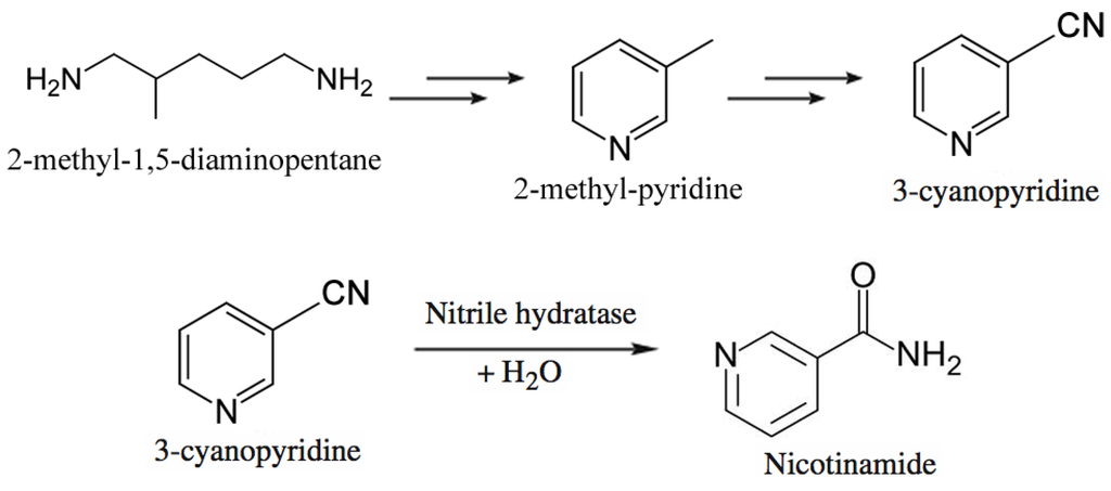 Nicotinic acid synthesis essay