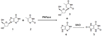 Biomolecules 03 00812 g009 200
