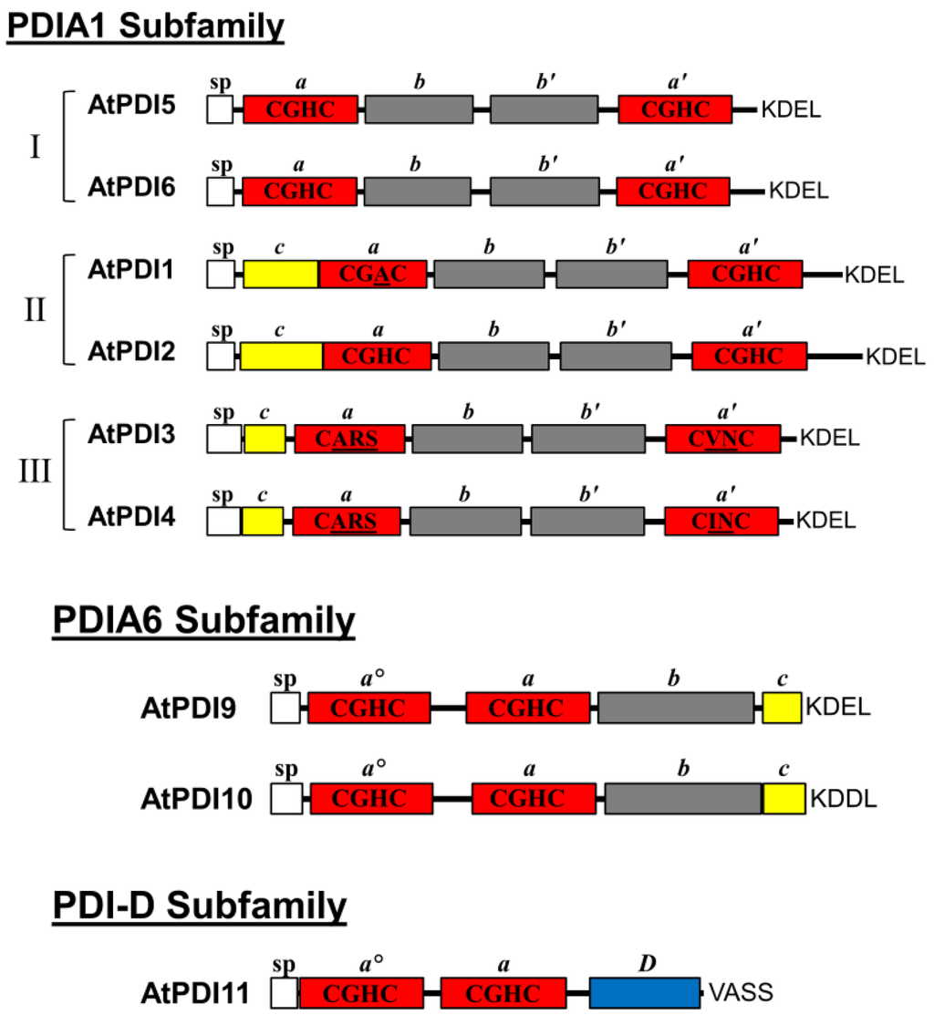 Biomolecules 03 00848 g001 1024