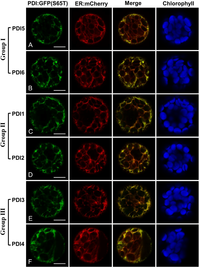 Biomolecules 03 00848 g002 200