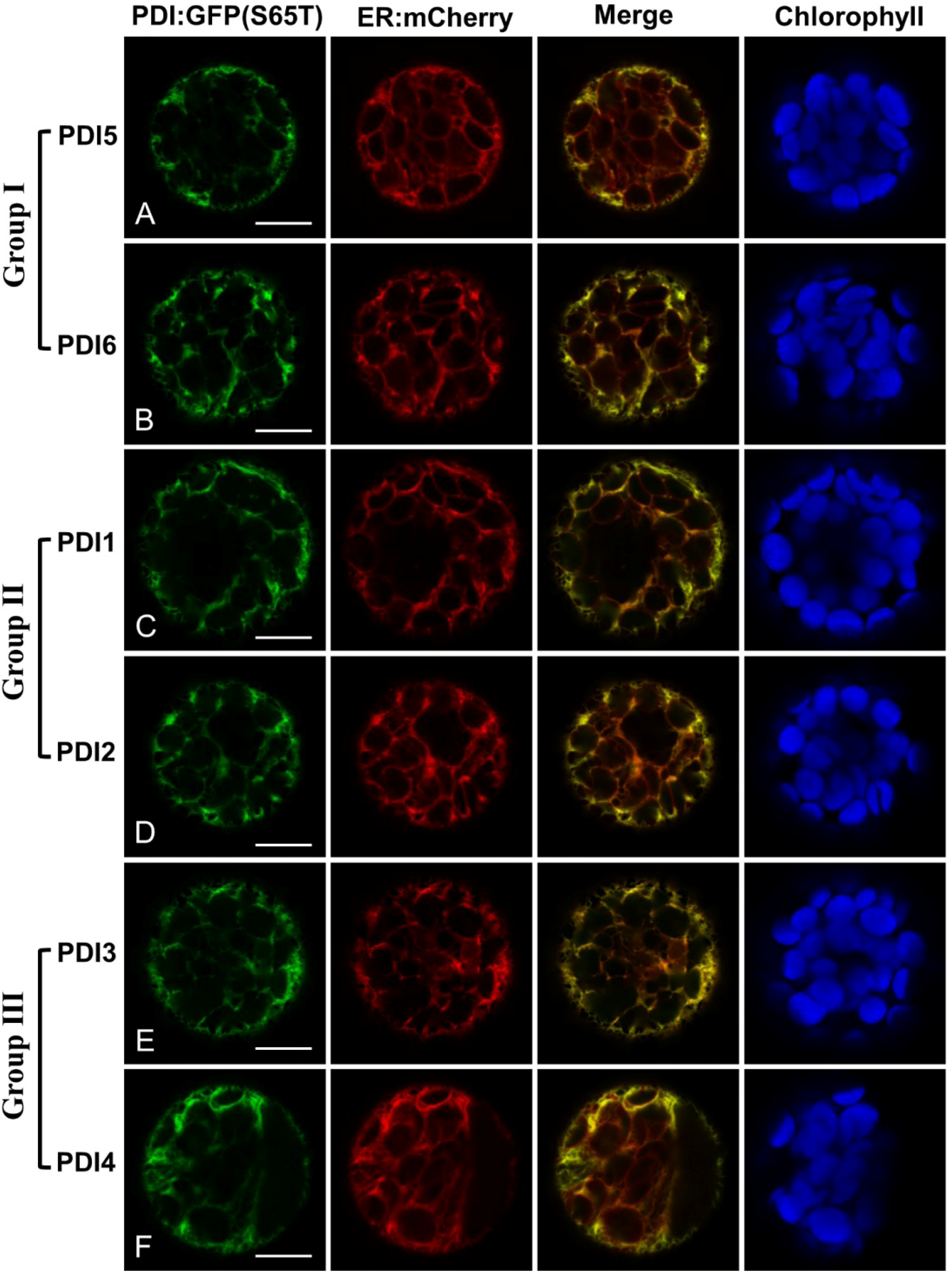 Biomolecules 03 00848 g002