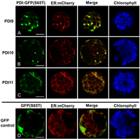Biomolecules 03 00848 g003 200