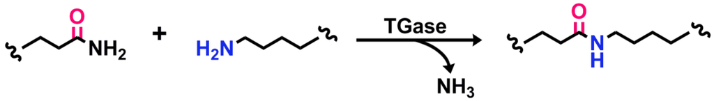 Biomolecules 03 00870 g001 1024