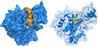 Biomolecules 03 00870 g002 200