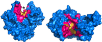 Biomolecules 03 00870 g003 200