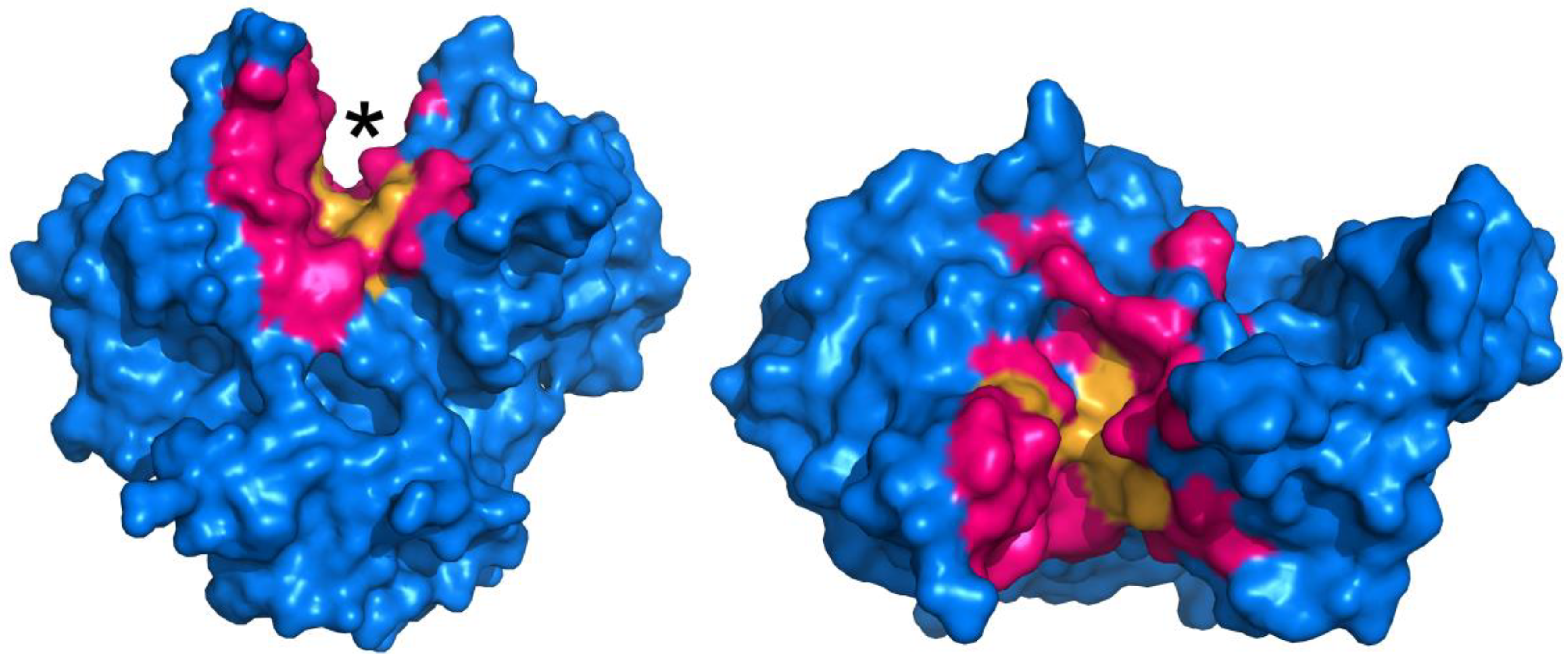 Biomolecules 03 00870 g003