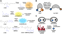 Biomolecules 03 00870 g004 200