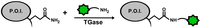 Biomolecules 03 00870 g005 200