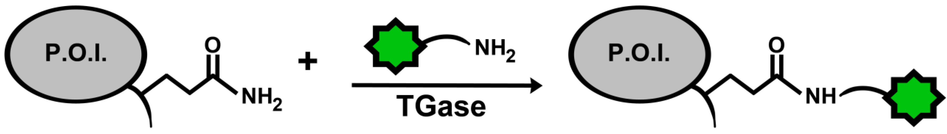 Biomolecules 03 00870 g005