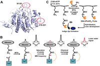 Biomolecules 03 00870 g006 200