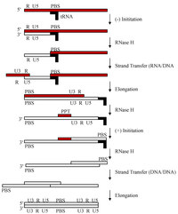 Biomolecules 03 00889 g001 200