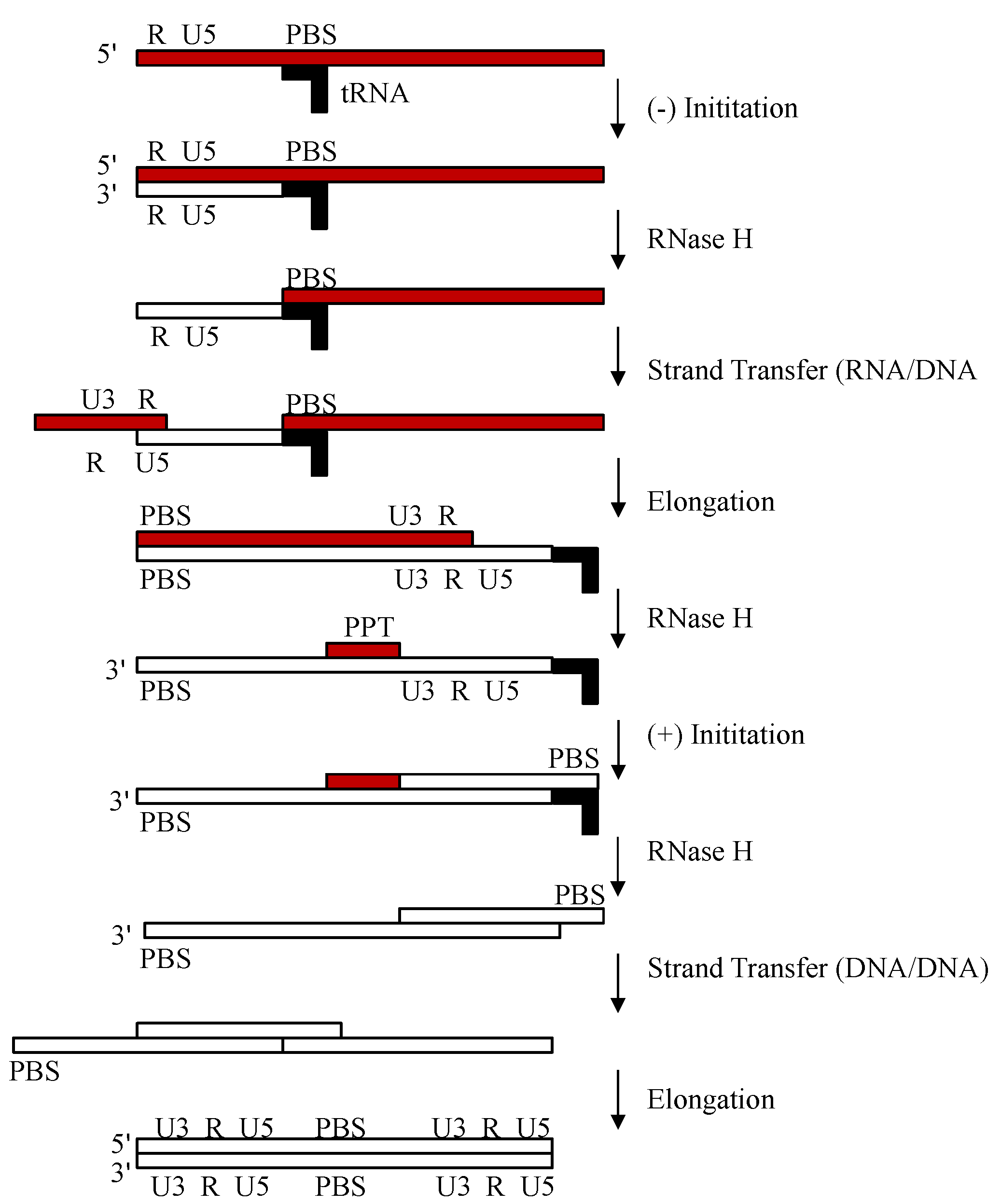 untersuchungen