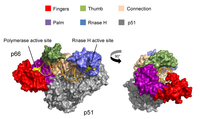 Biomolecules 03 00889 g002 200