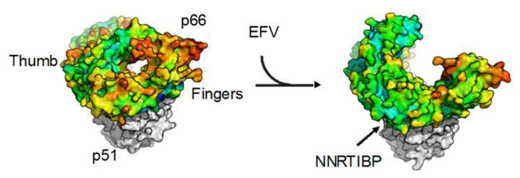 Biomolecules 03 00889 g004 1024