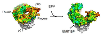 Biomolecules 03 00889 g004 200