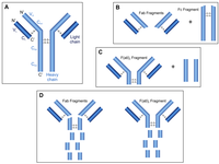 Biomolecules 03 00923 g003 200