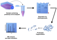 Biomolecules 03 00923 g004 200