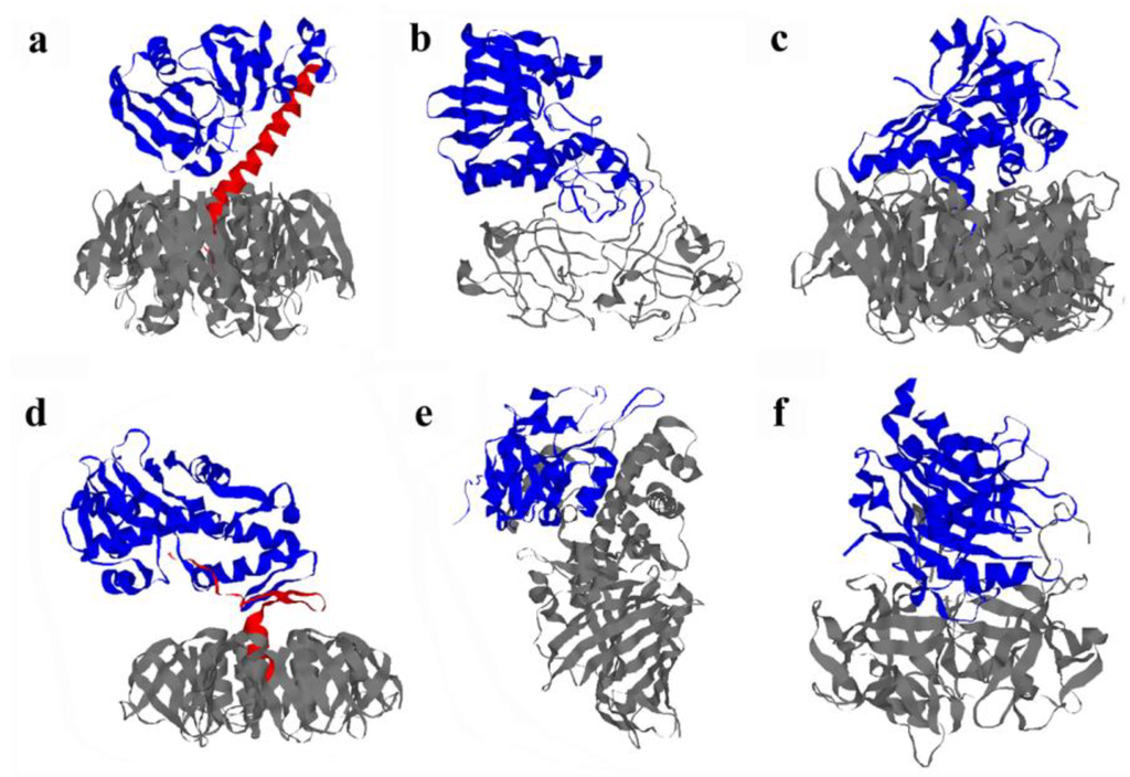 Biomolecules 03 00997 g002 1024