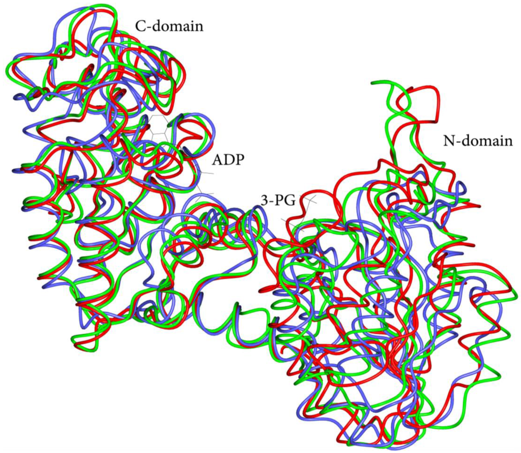 Biomolecules 03 01030 g001 1024