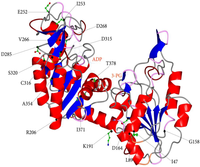 Biomolecules 03 01030 g002 200