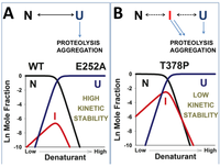 Biomolecules 03 01030 g004 200