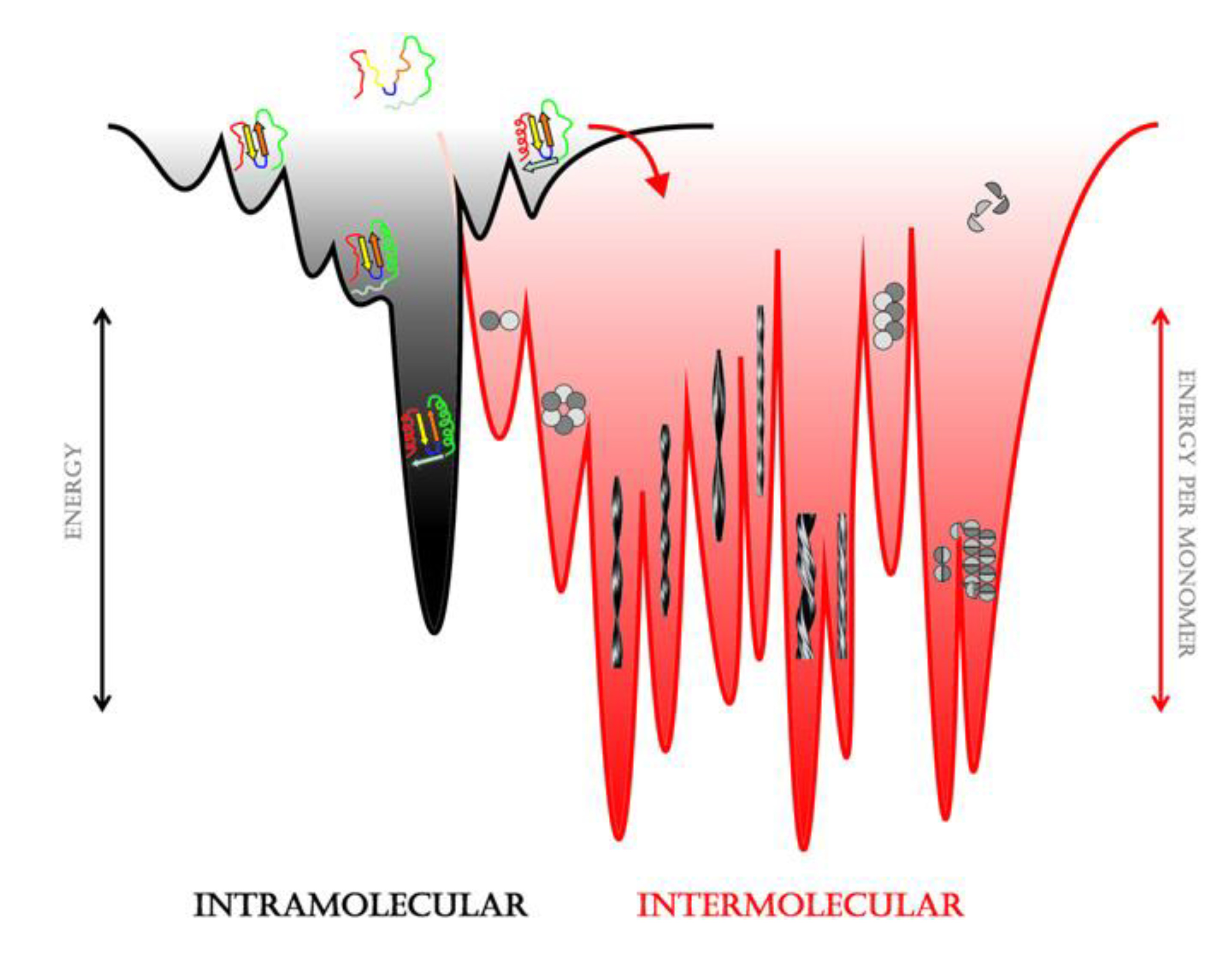 Biomolecules 04 00020 g002