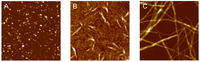 Biomolecules 04 00020 g003 200