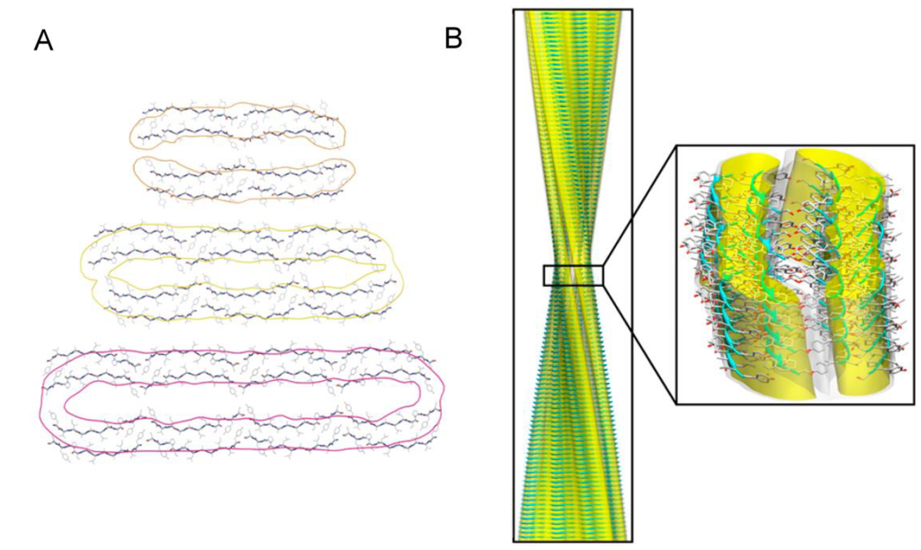 Biomolecules 04 00020 g004 1024