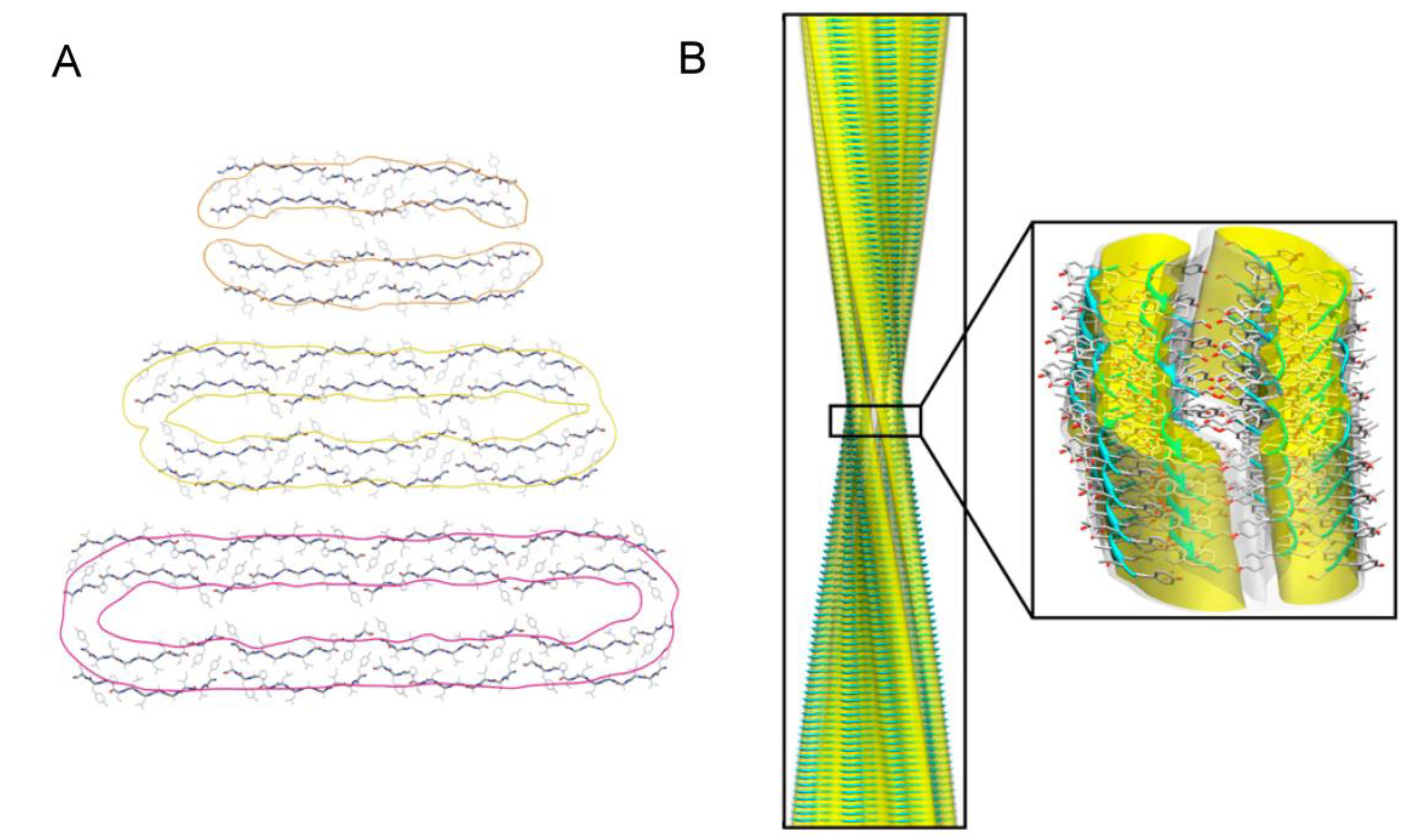 Biomolecules 04 00020 g004