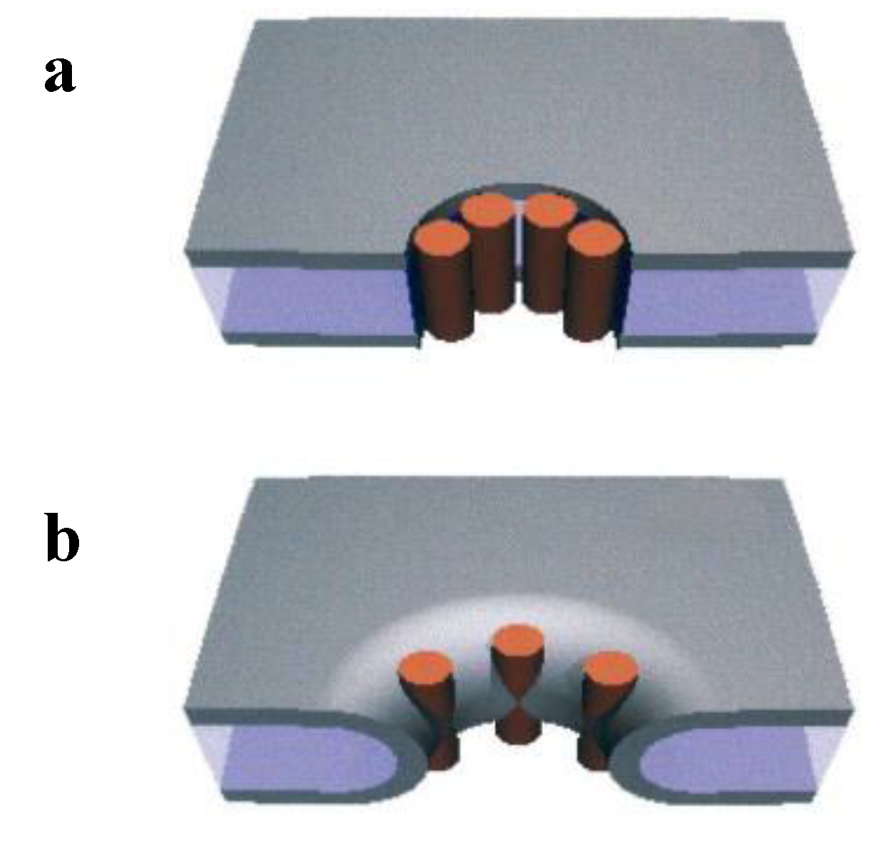 Biomolecules 04 00020 g006
