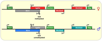 Biomolecules 04 00076 g004 200